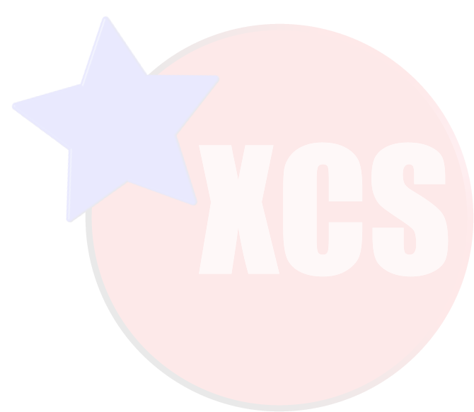 XCS XCS